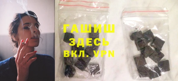 индика Козельск