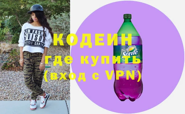 индика Козельск