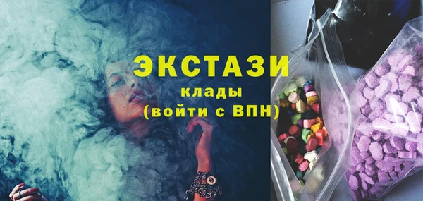 индика Козельск