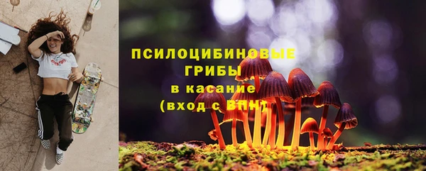сатива Новоульяновск