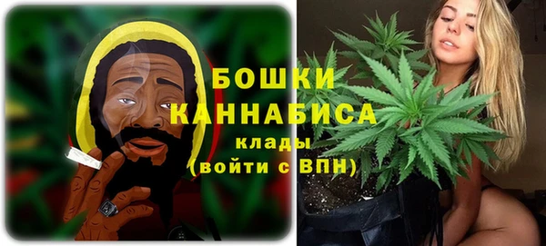 соль ск Краснослободск