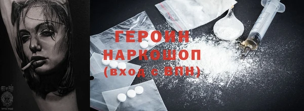 индика Козельск